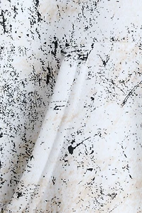 Printed Brushed-Inside Hoodie