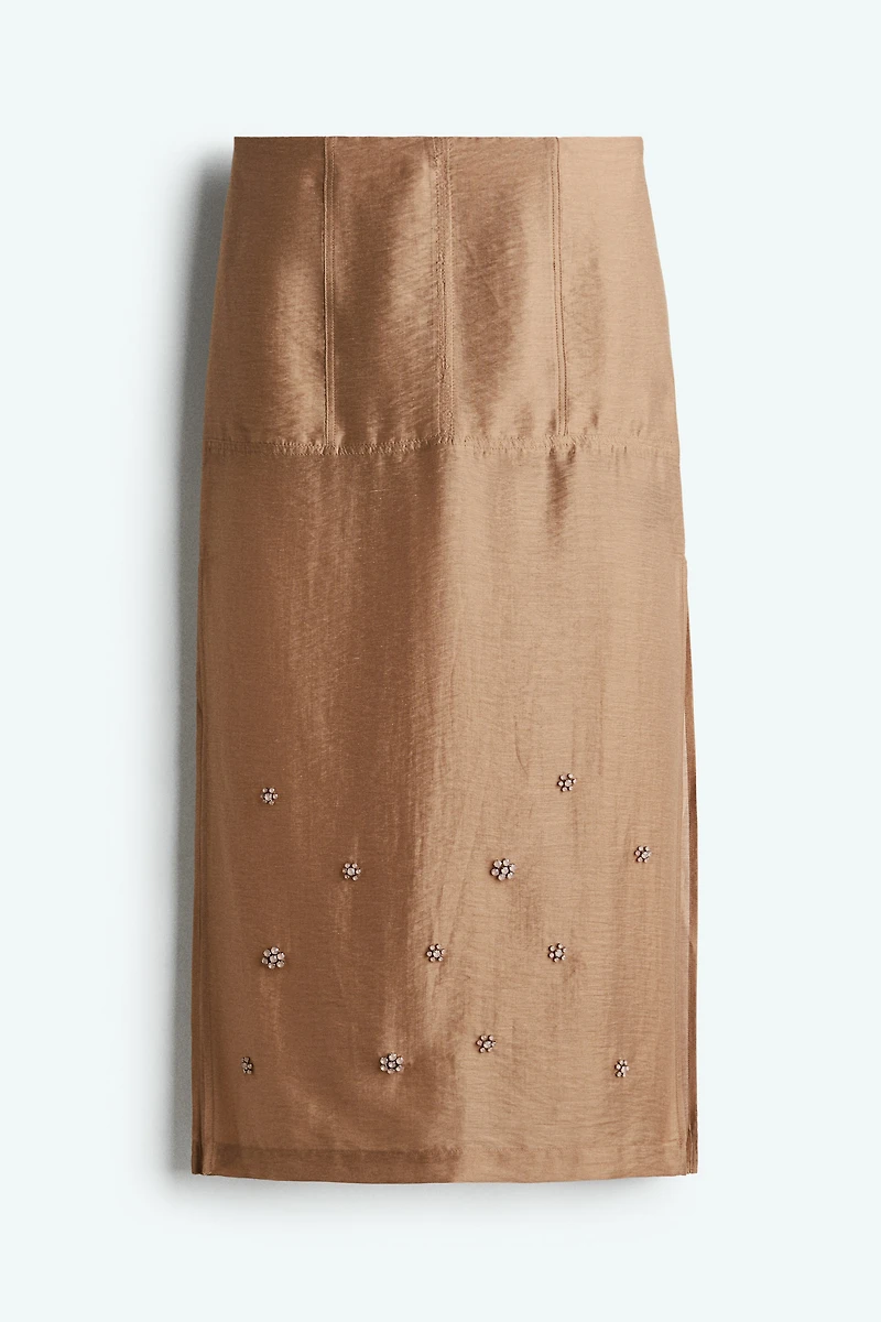 Embellished Sheer Skirt