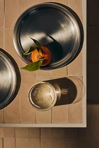Stainless Steel Picnic Plate
