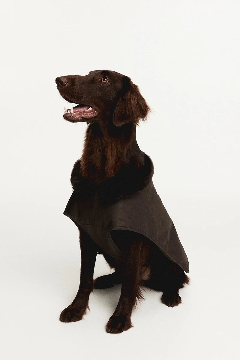 Manteau ciré pour chien