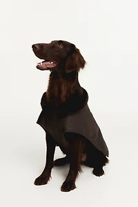 Manteau ciré pour chien