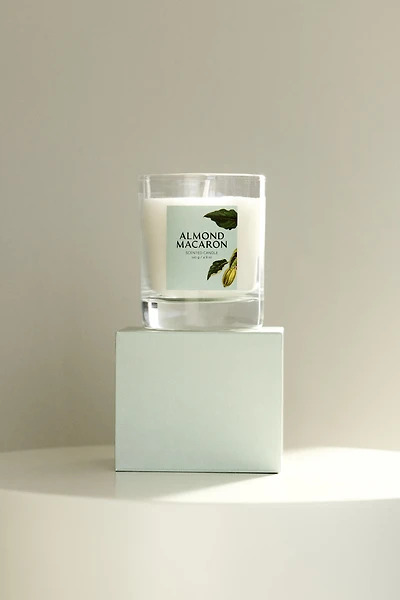 Scented Candle Glass Holder