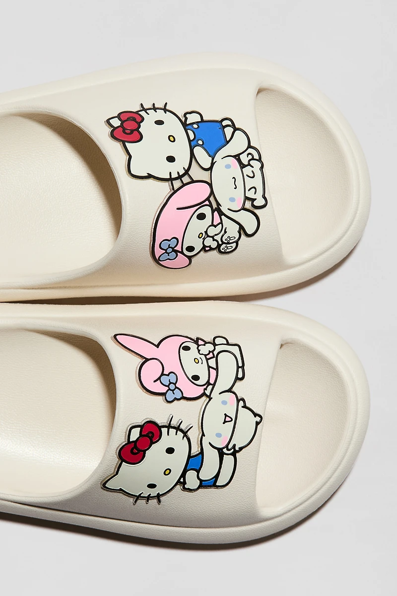 Molded Pool Slide Shoes