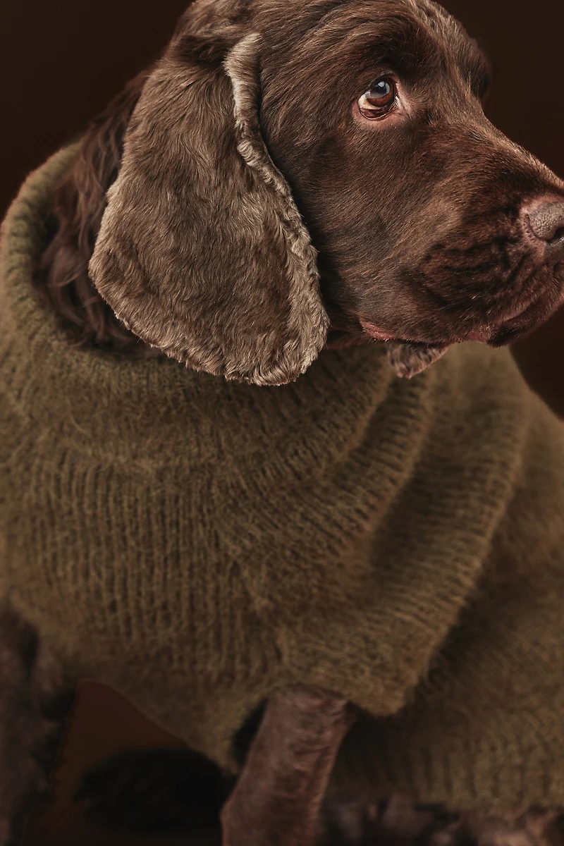 Fluffy-Knit Dog Sweater