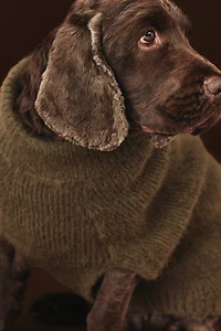 Fluffy-Knit Dog Sweater