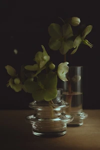 2-Pack Glass Mini Vases