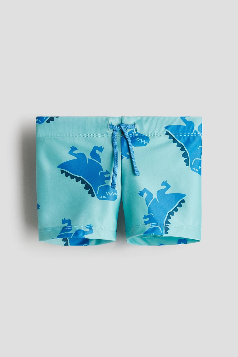 Printed Swim Trunks