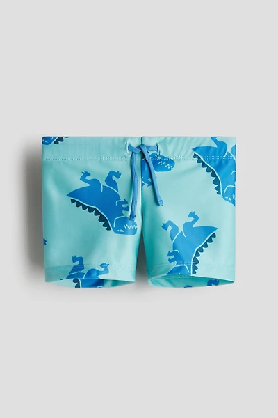 Printed Swim Trunks