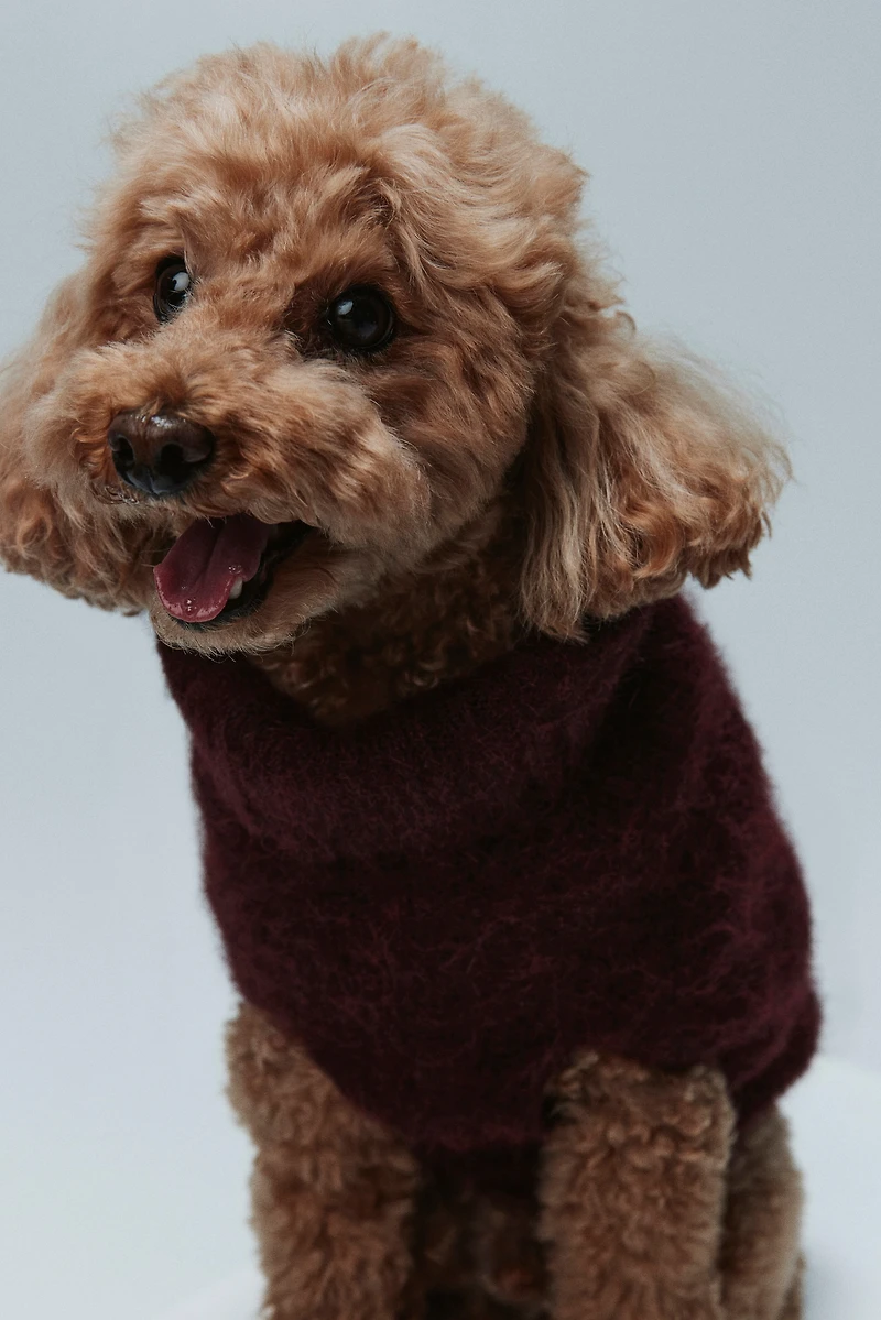 Chandail pour chien en tricot duveteux