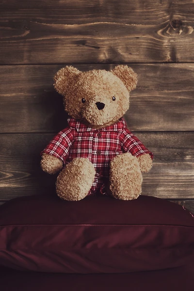Teddy Bear Soft Toy