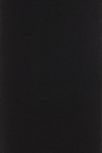 2-pack Control-Top Tights 20 Denier