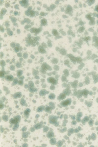 Stoneware Butter Dish