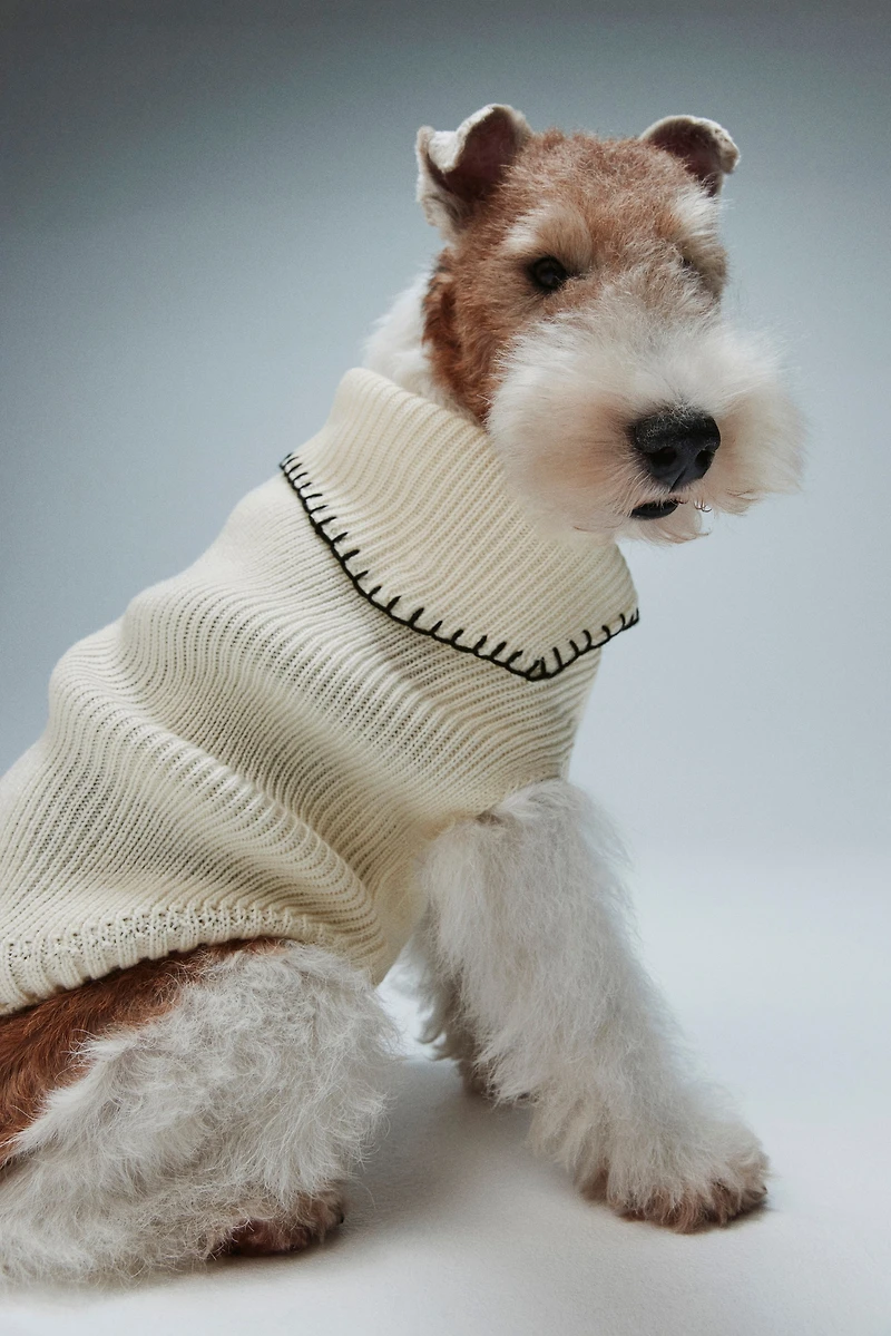 Chandail pour chien en tricot côtelé