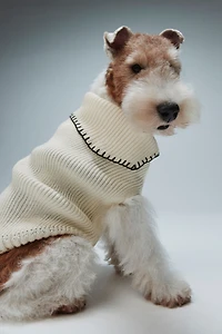 Chandail pour chien en tricot côtelé