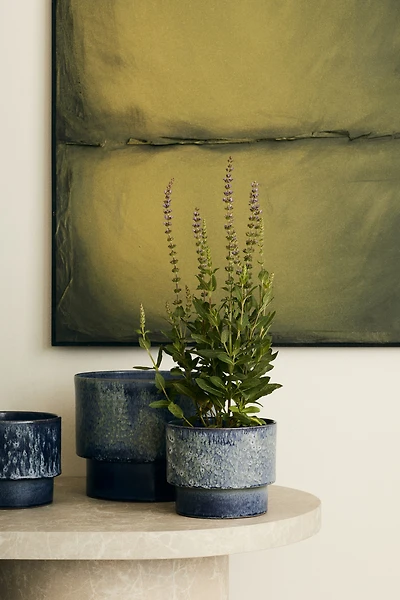 Terracotta Plant Pot