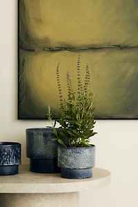 Terracotta Plant Pot