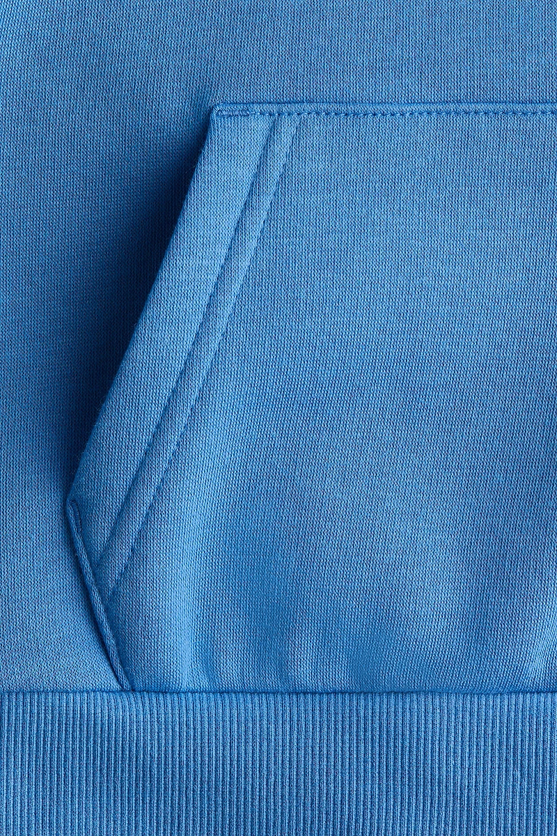 Kangourou à l'intérieur brossé