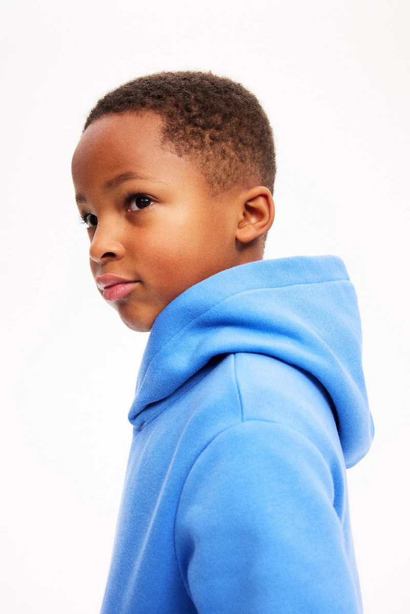 Kangourou à l'intérieur brossé