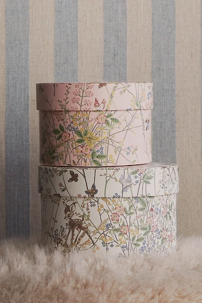 Lot de 2 boîtes de rangement