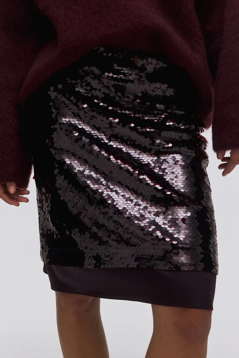 Sequined Skirt