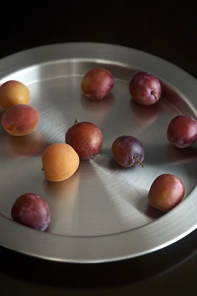 Stainless Steel Tray
