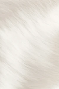 Blouse à manches ballon