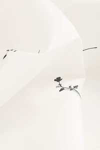 Rideau de douche fleuri