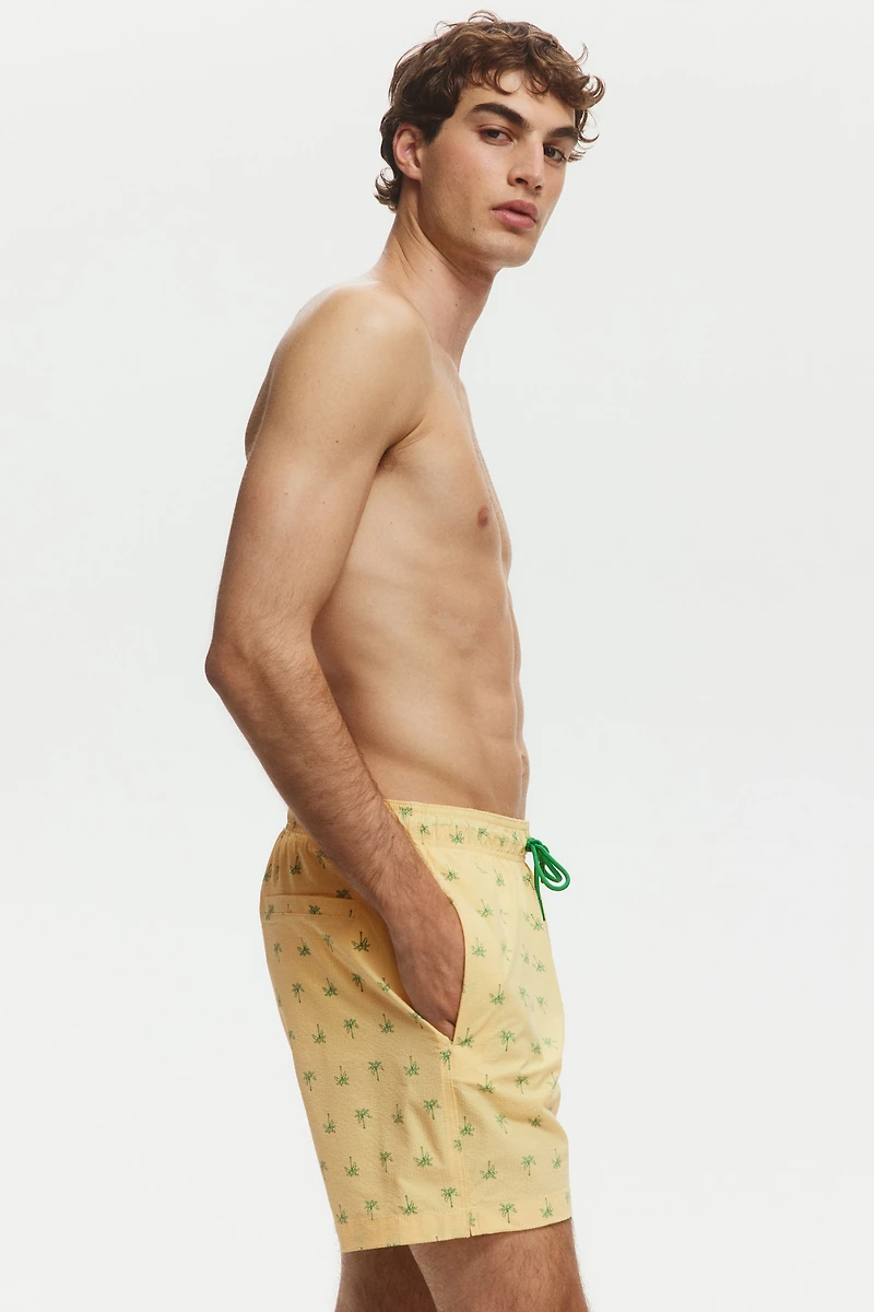 Seersucker Swim Shorts