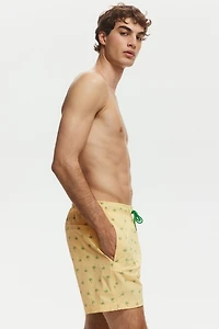 Seersucker Swim Shorts
