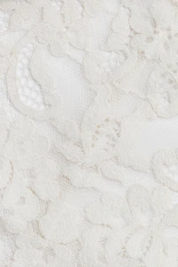 2-Pack Lace Brazilian Briefs