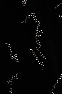 Embroidered Velvet Pants