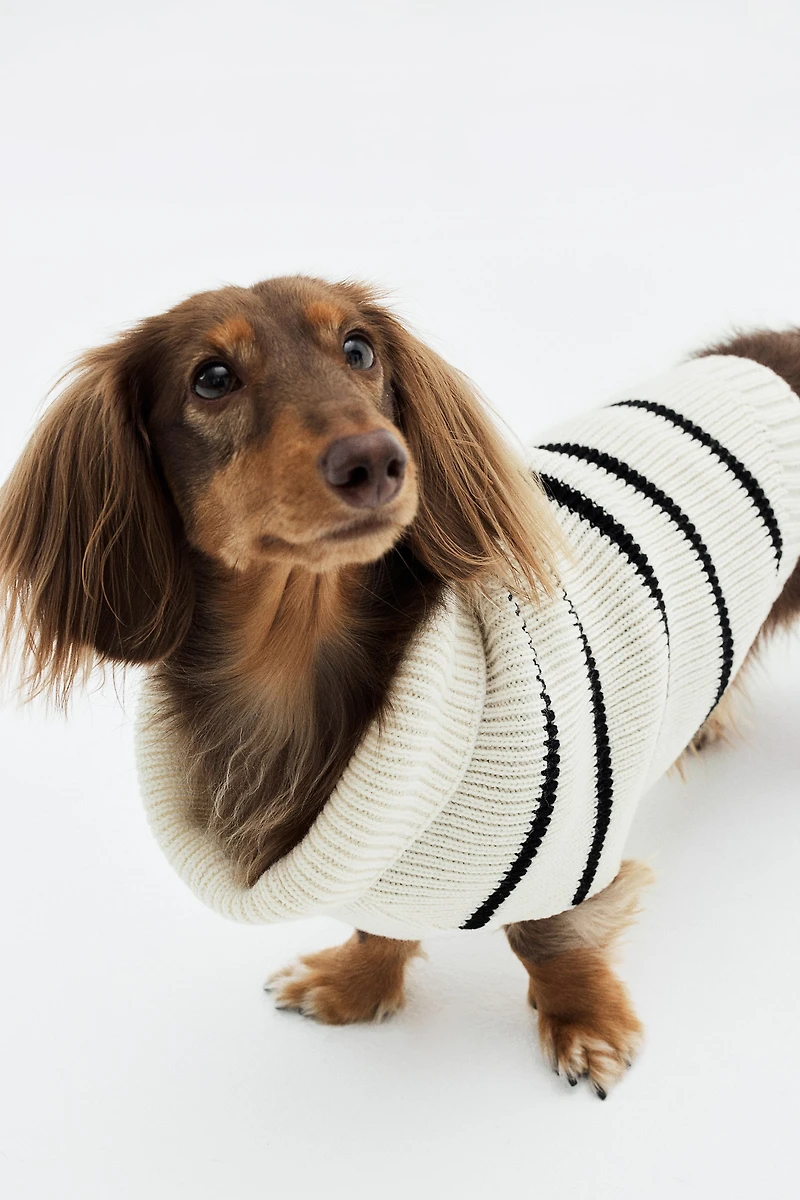 Rib-knit Dog Sweater