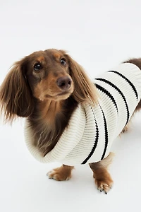 Rib-knit Dog Sweater