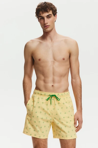 Seersucker Swim Shorts
