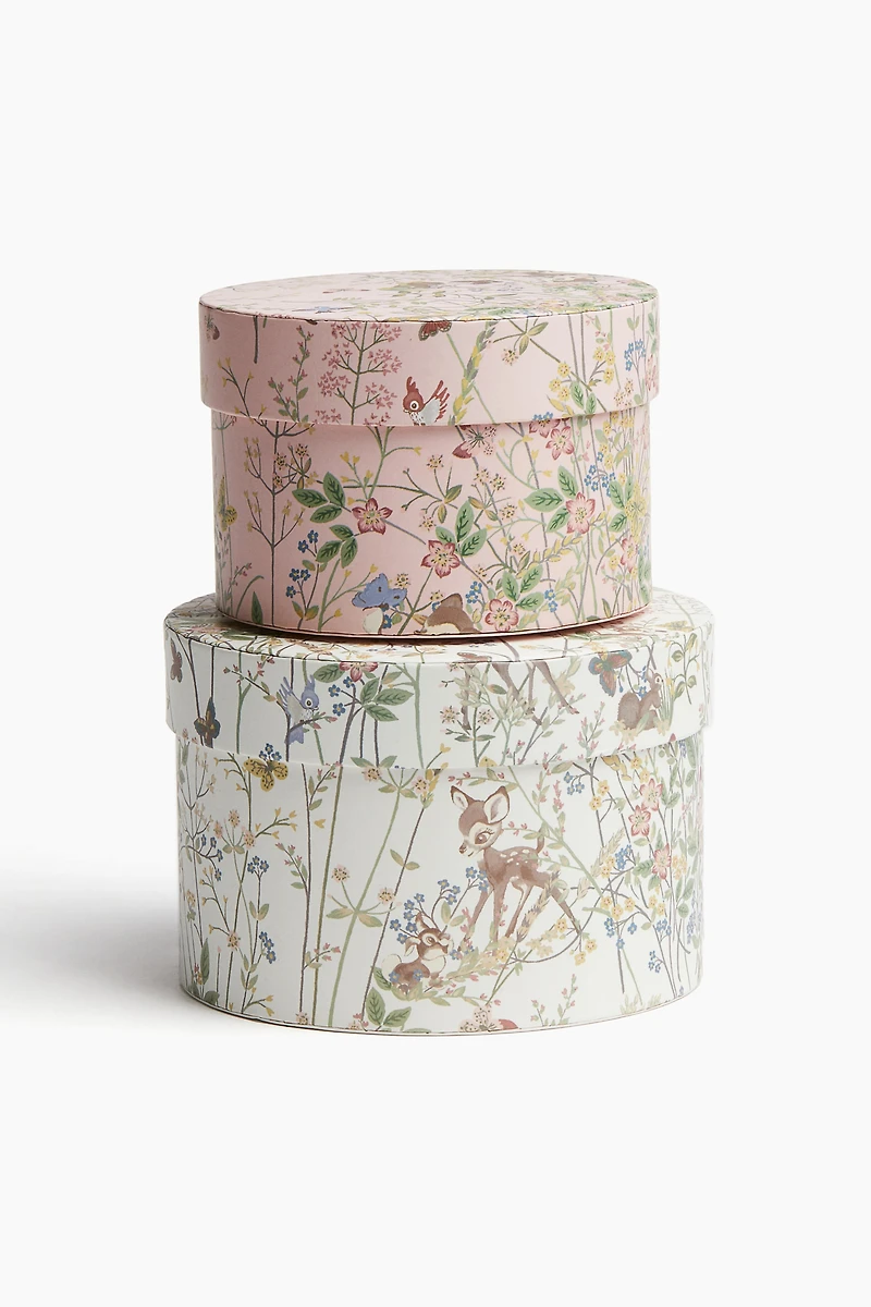 2-piece Storage Box Set