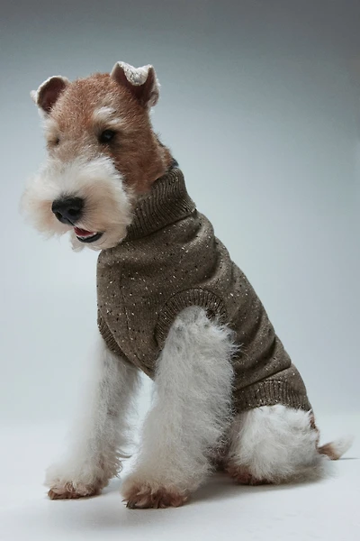 Chandail pour chien en tricot fin