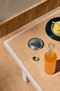 Décapsuleur coquillage
