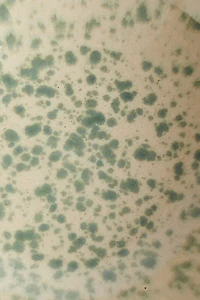 Bol à mélanger en grès