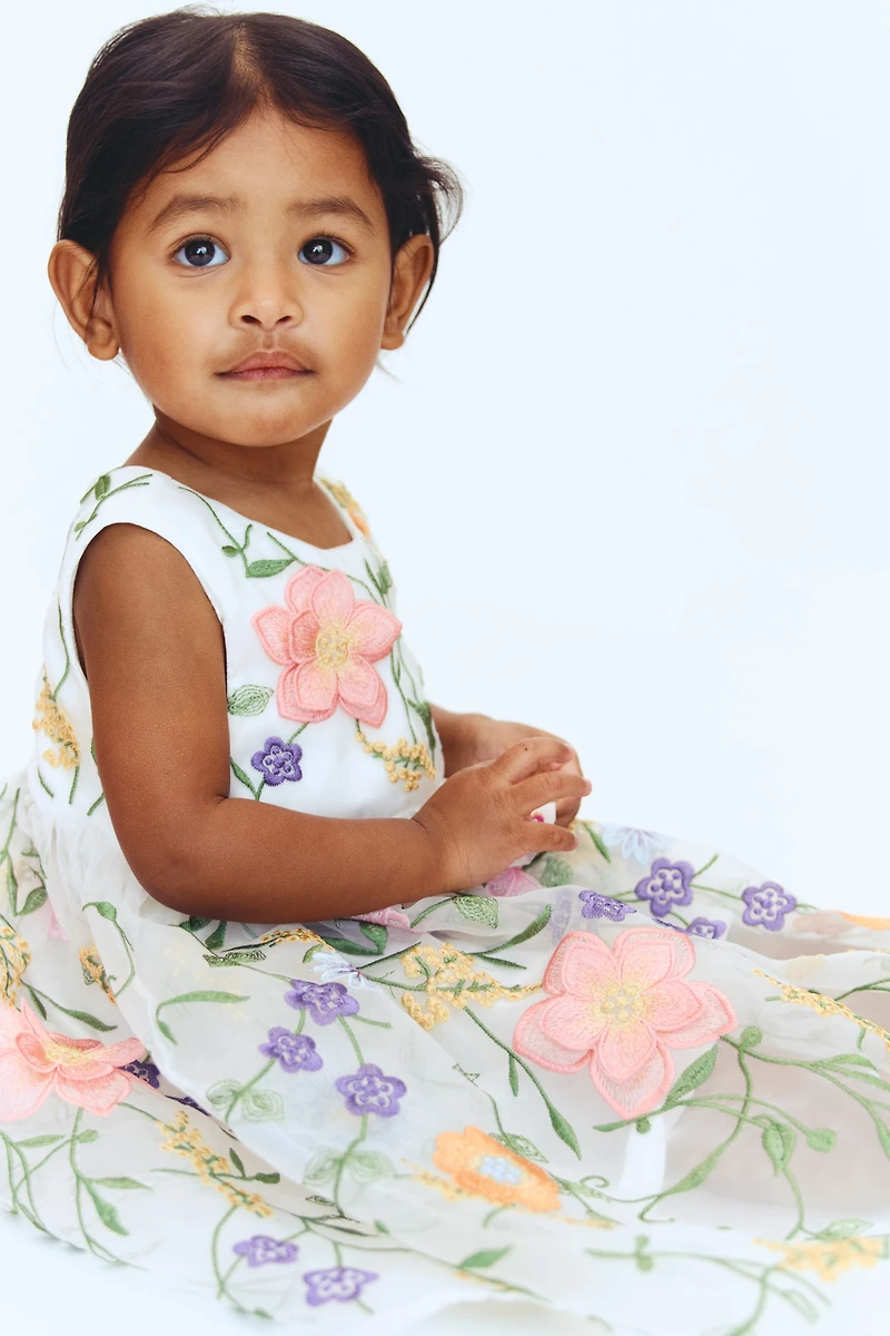 Embroidered Organza Dress