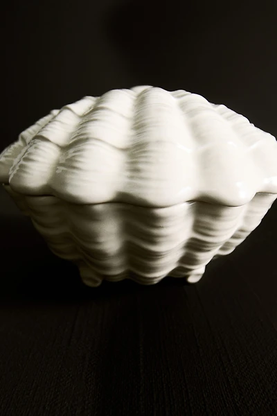 Seashell-Shaped Box