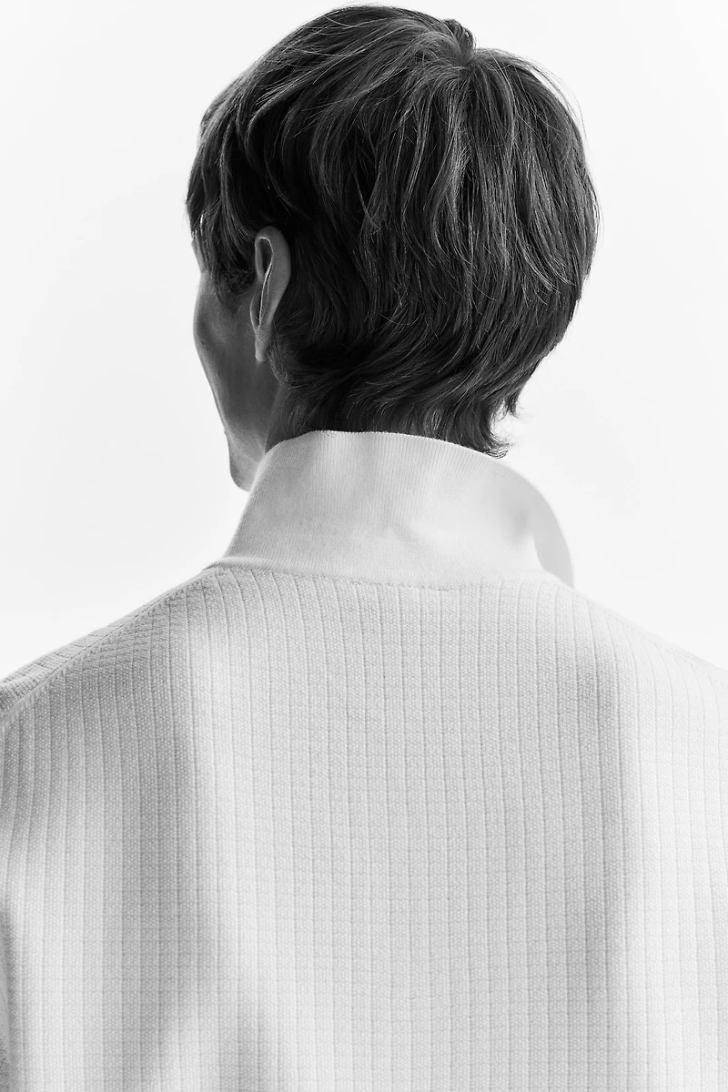 Regular Fit Textured-Knit Polo Shirt