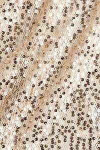 Sequined Mock Turtleneck Top