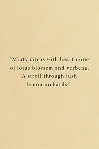 Scented Candle Glass Holder