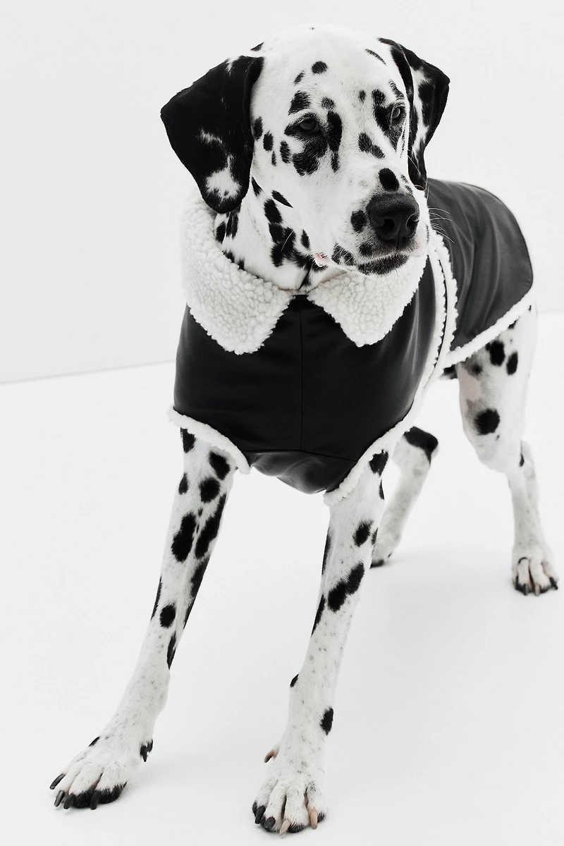Veste pour chien en tissu enduit