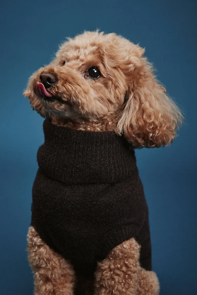 Fine-Knit Dog Sweater