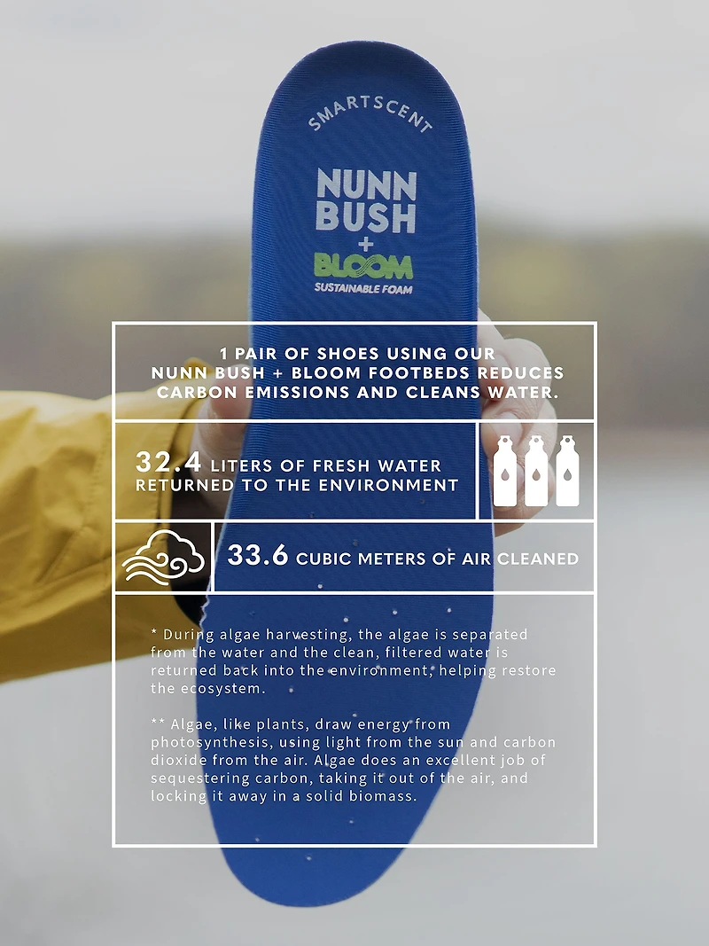 Chase Plain Toe Chukka Boots