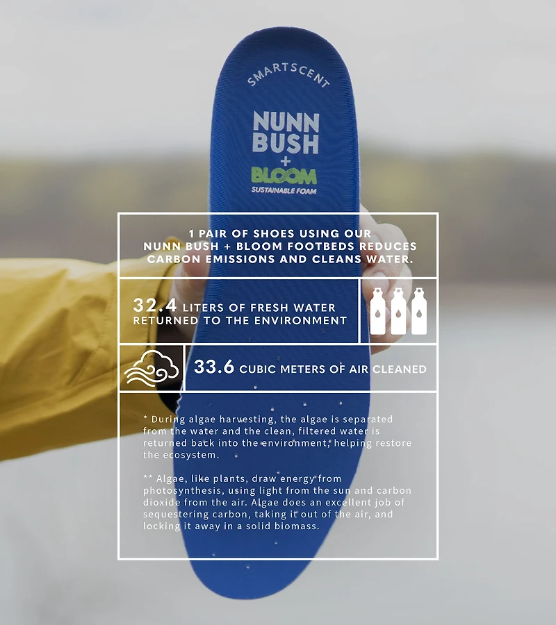 Chase Plain Toe Chukka Boots