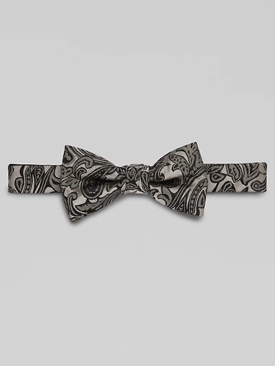 Vine Paisley Pre-Tied Bow Tie