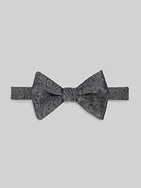 Etched Modern Paisley Pre-Tied Bow Tie