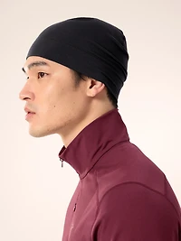 Rho Toque